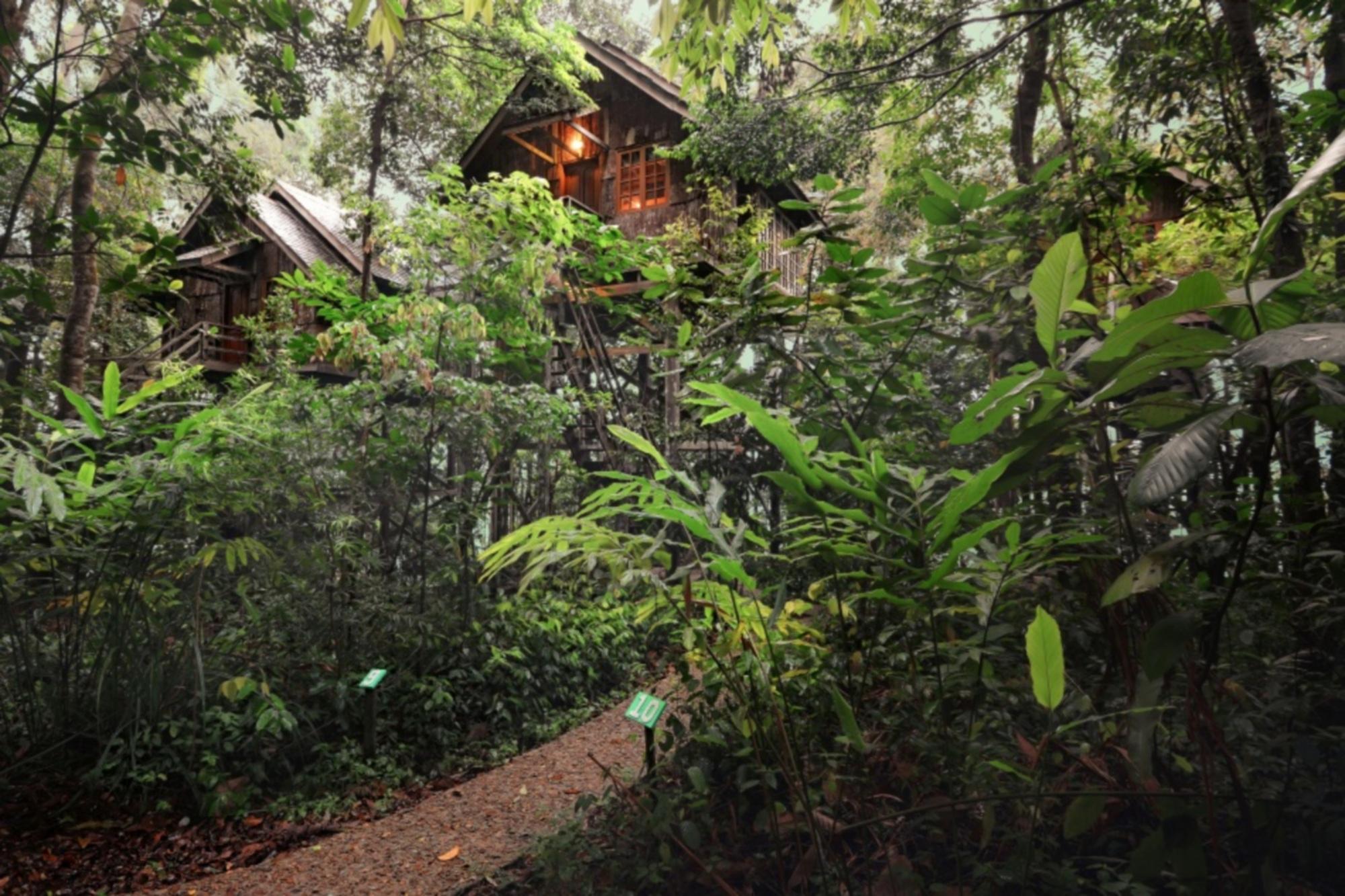 Permai Rainforest Resort Santubong Eksteriør bilde